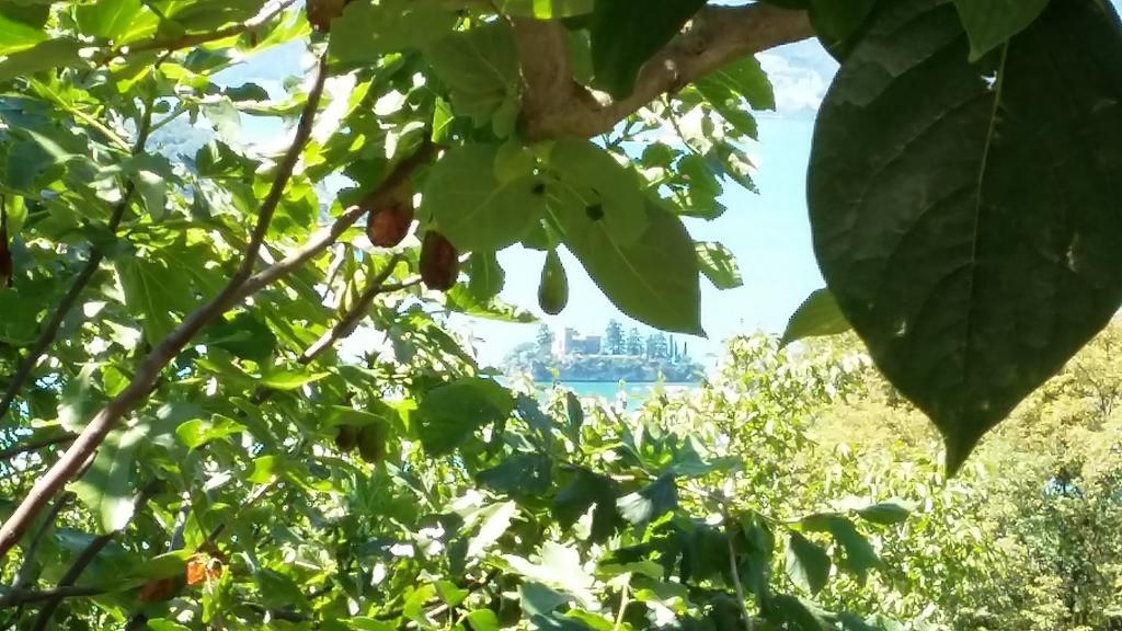 マローネIl Pozzoアパートメント エクステリア 写真